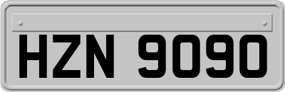 HZN9090