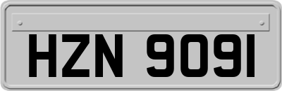 HZN9091