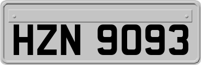 HZN9093