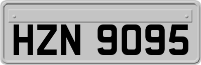 HZN9095