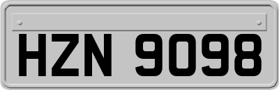HZN9098