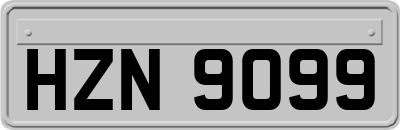 HZN9099