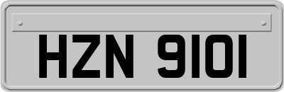 HZN9101