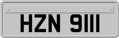 HZN9111