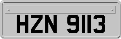 HZN9113