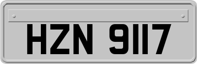 HZN9117