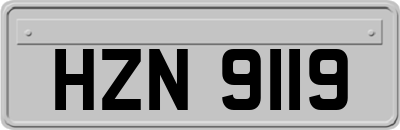 HZN9119