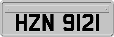 HZN9121