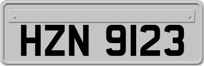 HZN9123