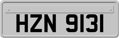 HZN9131