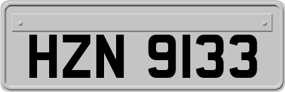HZN9133