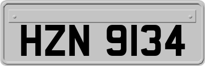 HZN9134