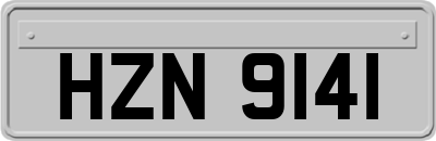HZN9141