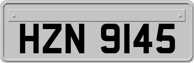 HZN9145