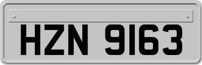 HZN9163