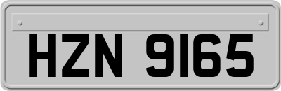 HZN9165