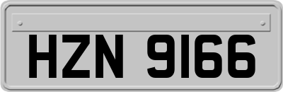 HZN9166