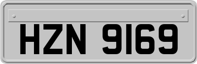 HZN9169