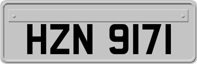HZN9171