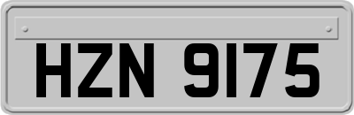 HZN9175