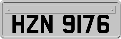 HZN9176
