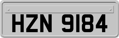 HZN9184