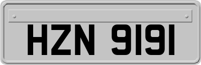 HZN9191