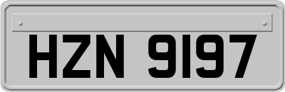 HZN9197