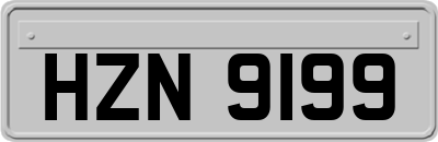 HZN9199