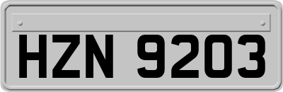 HZN9203
