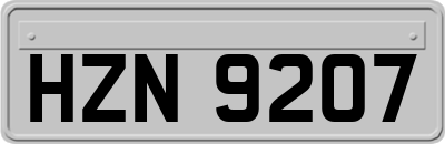 HZN9207