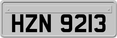HZN9213