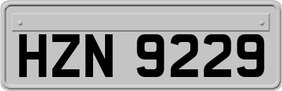 HZN9229