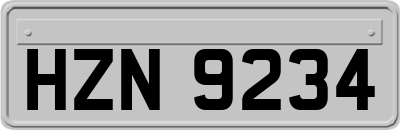 HZN9234