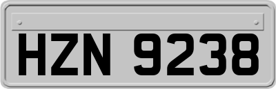 HZN9238