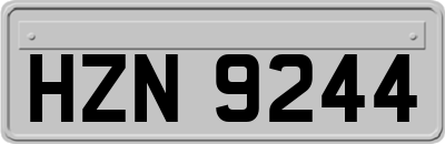 HZN9244