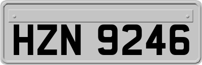 HZN9246