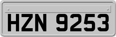 HZN9253
