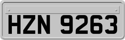 HZN9263