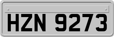 HZN9273