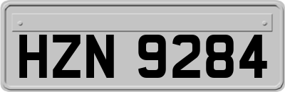 HZN9284