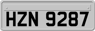 HZN9287