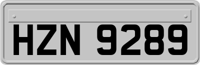 HZN9289