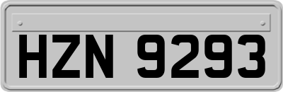 HZN9293