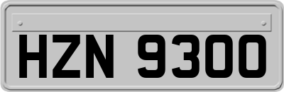 HZN9300