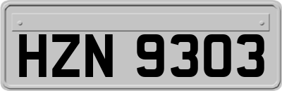 HZN9303