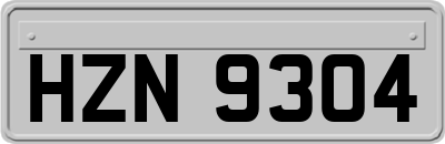 HZN9304