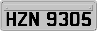 HZN9305