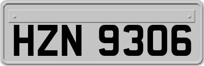HZN9306