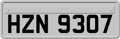 HZN9307
